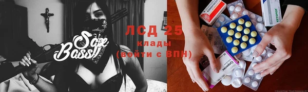 apvp Алзамай