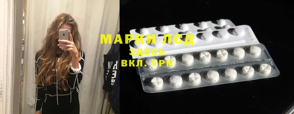 apvp Алзамай