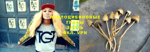 apvp Алзамай