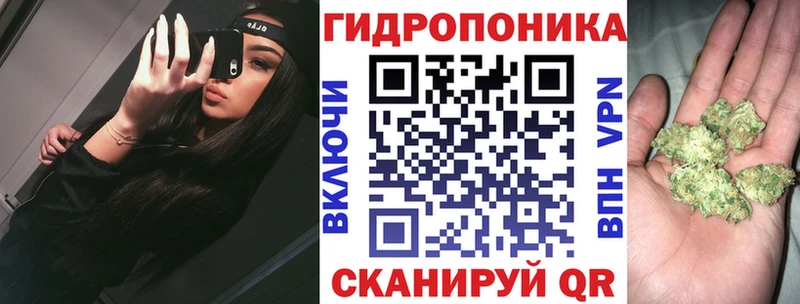 Конопля план  купить наркотик  Дмитровск 